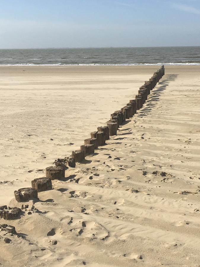 Appartement Noorderkragt, Amelander Kaap Hollum  Exteriör bild